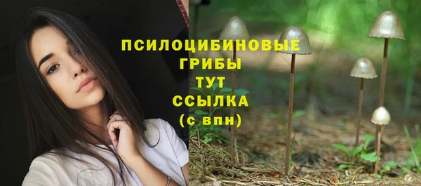 ПСИЛОЦИБИНОВЫЕ ГРИБЫ Абдулино