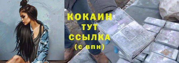 прущие грибы Абаза