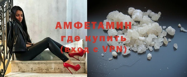 прущие грибы Абаза