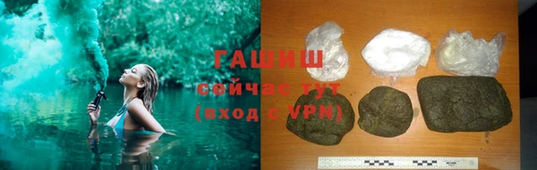 прущие грибы Абаза