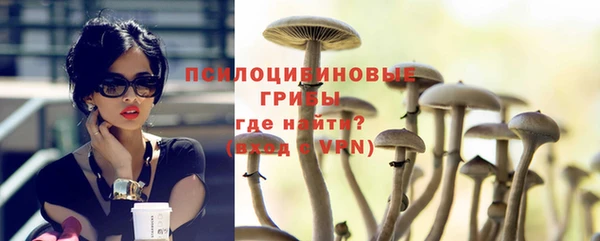 прущие грибы Абаза