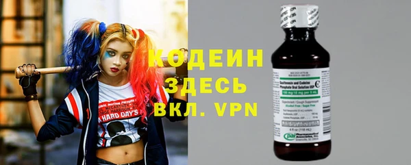 прущие грибы Абаза