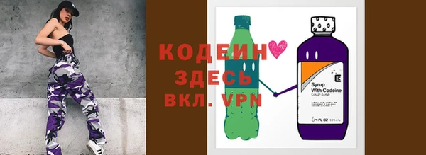 прущие грибы Абаза