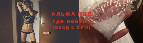 прущие грибы Абаза