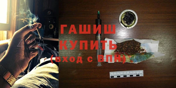 прущие грибы Абаза