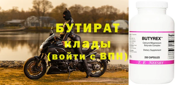 прущие грибы Абаза