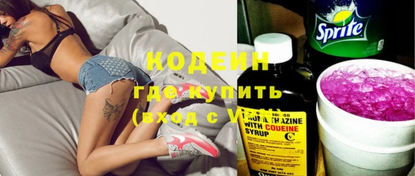 прущие грибы Абаза