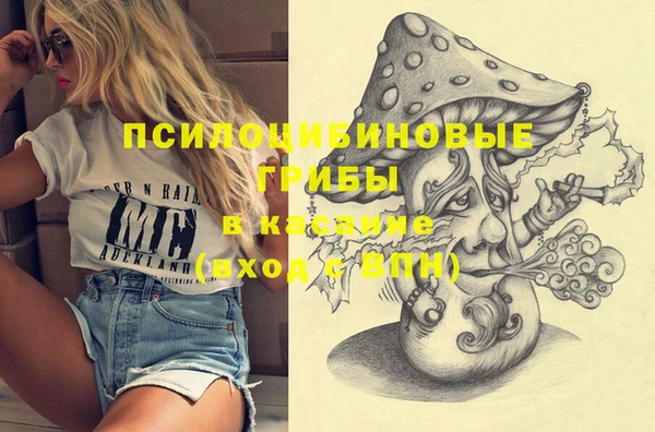 спайс Абинск