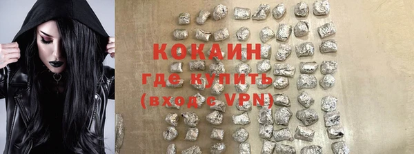 прущие грибы Абаза