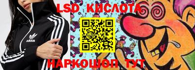 ГАЛЛЮЦИНОГЕННЫЕ ГРИБЫ Конаково