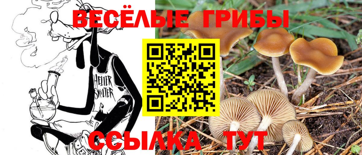 Псилоцибиновые грибы прущие грибы  Галлюциногенные грибы мицелий  Вход с VPN  Кингисепп 